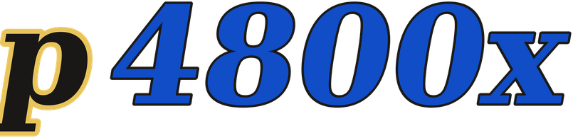 p4800x logo